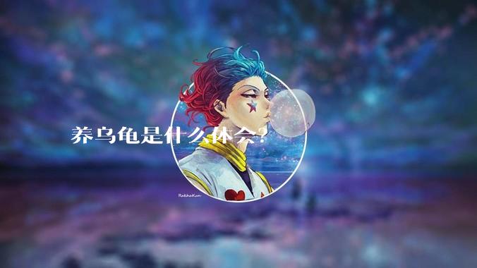 养乌龟是什么体会？